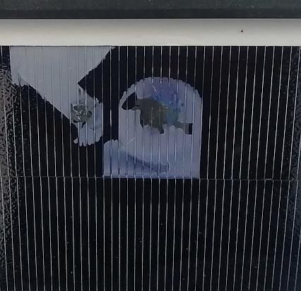 Solárny panel monokryštalický Solarfam 160Wp (používaný)