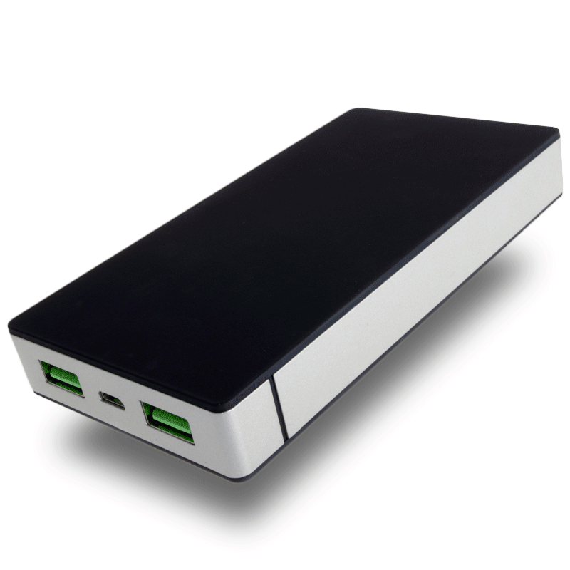 Powerbank 10000mAh 37Wh 2x USB Powerneed