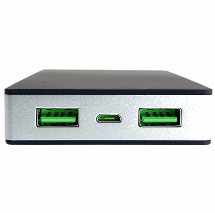 Powerbank 10000mAh 37Wh 2x USB Powerneed